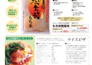 もち米発芽米商品プロモーション用チラシ