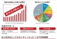 IT企業のショップサイトプロモーション